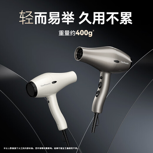 Fire Phoenix Hair Dryer 6600X, high power 2400W for hair salons, high wind power, low noise, home constant temperature hair care, no hair damage, professional hair dryer for barber shops, home appliances 6600H+ titanium gray (four-speed wind)