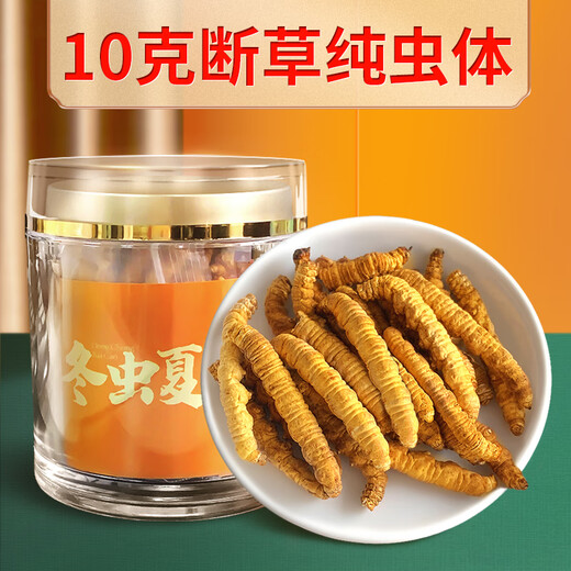 Wojue Cordyceps Sinensis Sélection Cadeau Premier chaume Cordyceps Sinensis Grass entiers Véritable grosse Cordyceps brisés Boîtes-cordons 10g Cordyceps (2-3 racines / g) 10g Pure Insect