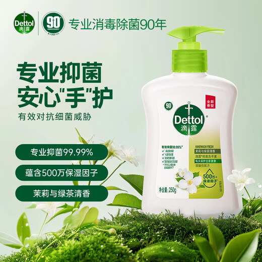 Dettol Healthy Antibacterial Hand Sanitizer, Moisturizing and Protecting, Children and Adults Family Hand Wash, Antibacterial Cleaning, Universal Special Pack, Multiple Scents, Moisturizing 250g + Green Tea 250g