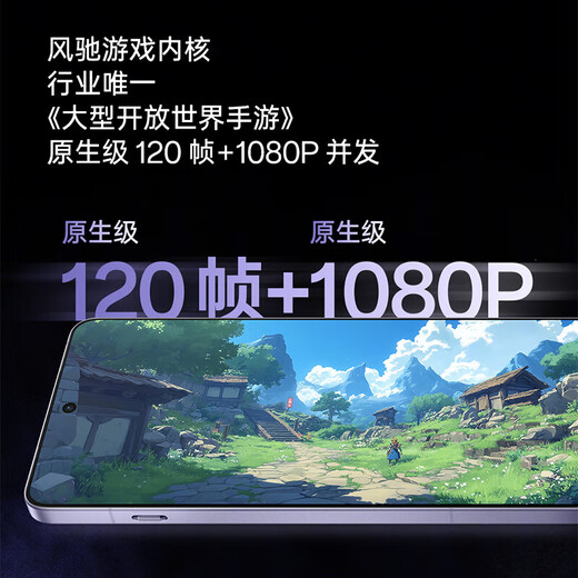 OnePlus Ace5 Pro National Subvention Qualcomm Snapdragon 8 Supreme Edition 6100MAH Glacier Battery Oppo Gaming AI Smart 5G Mobile Star ZI 12 GB+256 GB Offizieller Standard [National Joint Garantie]