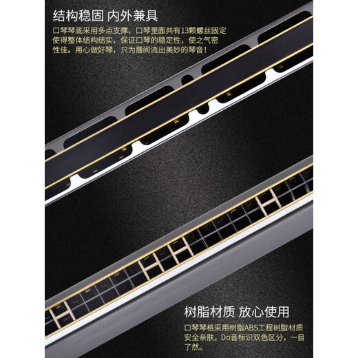 Guoguang Shanghai Guoguang Harmonica 28 Loch Weitweite Reichweite Polyphonischer Akzent C-Tuneers für Kinder und Studenten Männer Einführung Ein Guoguang 28 Loch Weitweite Polyphonische GG28A/Athedian