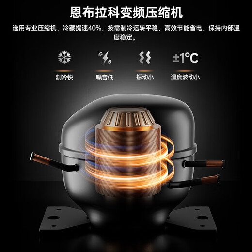 Qielong 808W red wine cabinet double-door constant temperature moisturizing ultra-thin insertable air-cooled frost-free compressor wine cabinet office home liquor and wine refrigerated display 808W obsidian black + beech wood shelf + stainless steel cabinet