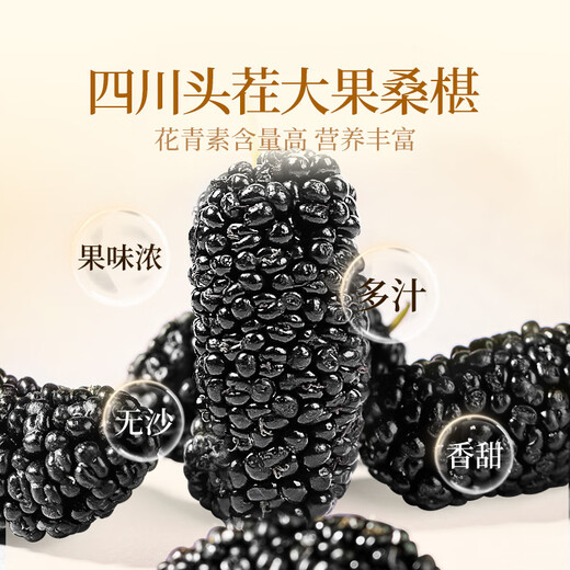 贡苑熟地黄黄精桑葚茶252g共14包 中药材组合泡水喝