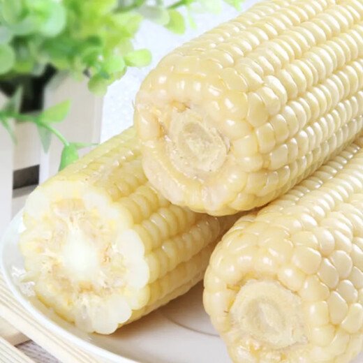 Sowing mood super sweet waxy corn seed black sweet waxy sticky colorful waxy fruit corn seed larvae field high yield big stick easy living hybrid <National Approval> white sweet waxy corn seed 1 pack 100g No Specifications