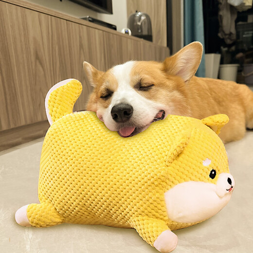 HuanChong.com pet dog toy for dogs to play with to relieve boredom, self-pleasure, resistant to chewing, grinding teeth, making sounds for puppies and puppies, dog walking and amusing tool