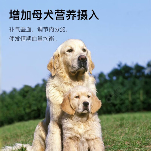 OIMG developmental fertility treasure for dogs, special nutritional premix for female dogs to promote estrus and ovulation, female dog fertility treasure, fertility treasure 2 barrels