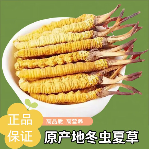 
Authentic Cordyceps sinensis 50 gift boxes Cordyceps high-quality authentic Ganzi Tibetan dry goods Cordyceps gift boxes Authentic Tibetan area 2 pieces one gram Cordyceps authentic Cordyceps 20 grams