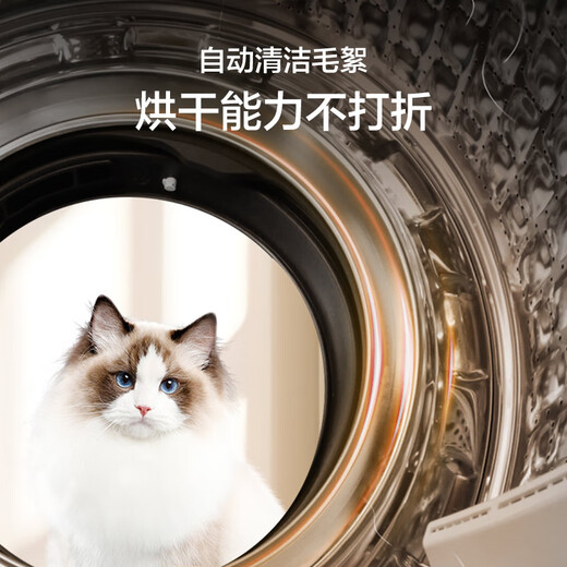 Haier primary color fully automatic drum washer and dryer integrated washing machine with dryer 12KG large capacity national subsidy for home appliances OCC XQG120-HL50DS