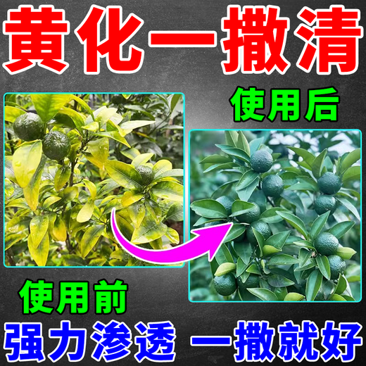 黄化一撒清果树柑橘桔黄龙病专用药农花扫杀青菌撒施颗粒肥料 1袋【体验装】