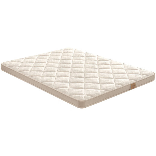 Hemp Master Jute Mattress Firm Mat Waist and Spine Protection Home Bedroom Can Be Customized M77 1.8*2 Meter Hard Sleeping Feel