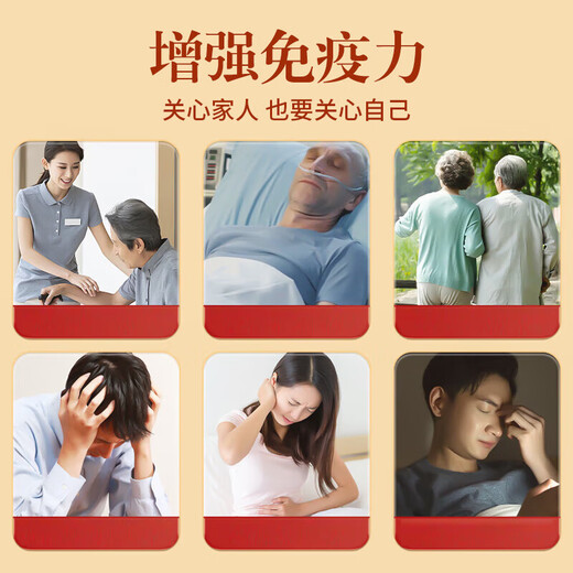 
Beijing Tongrentang Pang Donglai Quality, Broken Wall Ganoderma lucidum spore powder, adults, middle-aged and elderly people, 20 bags/box for immunity, 1 shot, 2 [including 2 boxes for gift], a total of 80g [Broken Wall Spore powder