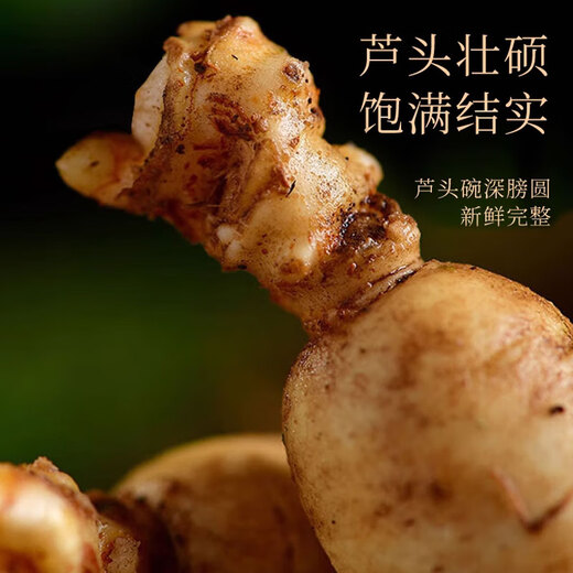 Qingqitang Changbaishan Ginseng Ganzes mit Geschenkbox in Wein und Suppe Tonic Northeast Specialty Vatertagsgeschenke für Älteste eingeweicht