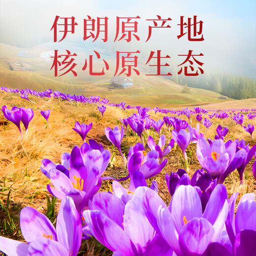 Special grade saffron Iran imported full red filament saffron crocuses for the elders holiday gift box supplements Special grade saffron 1 gram [Experience package] Soaking soup supplements