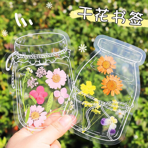 Qiaoxinshi leaf specimen plastic sealing film 20 pieces of handmade diy material dried flower bookmarks autumn ginkgo leaves transparent leaf plants