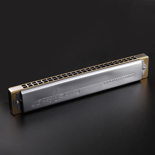 Tombo Japan Tongbao 6624s Customized Copper Grid Version 24 Loch Erwachsene Studenten spielen polyphonische Harmonika F Melodie