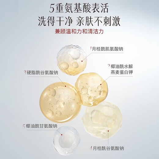 COLLECTION RARE SUBSTANCE MATSUTATAKE COMPRISE AMUMO ACIDE CETOILER FACILLE POUR LES FEMMES Nettoyage d'élimination de l'huile pour les hommes Contrôle de l'huile Nettoyage Page d'huile de pores 50g