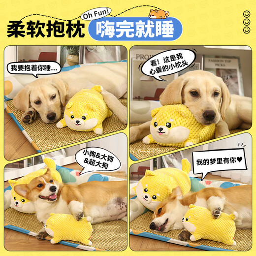 HuanChong.com pet dog toy for dogs to play with to relieve boredom, self-pleasure, resistant to chewing, grinding teeth, making sounds for puppies and puppies, dog walking and amusing tool