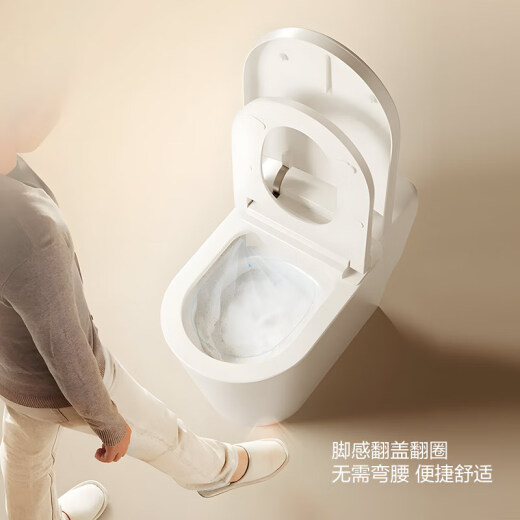 箭牌（ARROW）卫浴智能马桶一体低水压脚触感应冲水前置过滤器虹吸式智能坐便器 0压除菌水/感应翻盖圈AKB1315-A 305/300mm