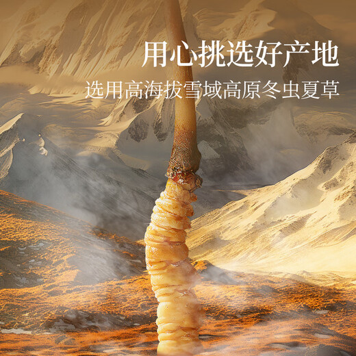 同仁堂品牌 北京同仁堂  虫草冬虫夏草  高端滋补礼盒营养品送长辈 1盒 50g 【金尊礼盒】约4根/克200根