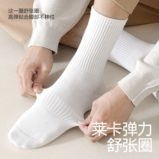 Baumwollsocken Herren-Langrohr Spring und Herbst [100% reines Baumwoll 10A Antibakteriell und geruchsdicht] Sportstilstrümpfe Lange Röhrchen 5 Paare