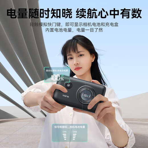 绿巨能（llano）佳能LP-E17相机电池储电快充盒适用佳能R50 R8 m6 R10 R100 RP 200D二代 750D 800D 850D充电仓器 【储电+快充+收纳】两电双充长续航