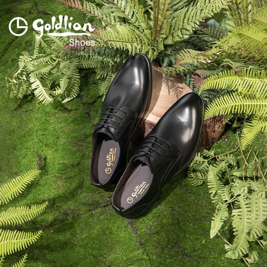 
Goldlion men's shoes business formal casual shoes simple and comfortable leather shoes 567810183ABB-black-41 size