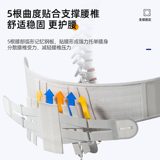 艾普乐医用护腰带腰间盘突出腰肌劳损腰椎疼痛男士专用腰托女士久坐神器