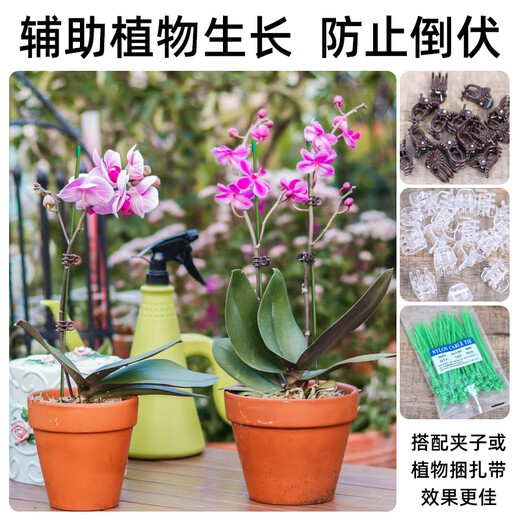 
Climbing fixed binding rod Money tree support rod Indoor fruits, flowers, plants, gardening flower stand flower pot support rod 10 4mm green 50cm long 10 sets of hats