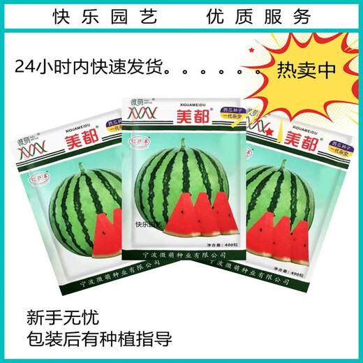 Chunzhiyun Meidu Watermelon Seeds with thin skin, crack-resistant, few seeds, super sweet and crispy 8424 round watermelon, Meidu Watermelon Seeds, slightly cute Meidu Watermelon Seeds, 50 seeds unpacked for trial planting