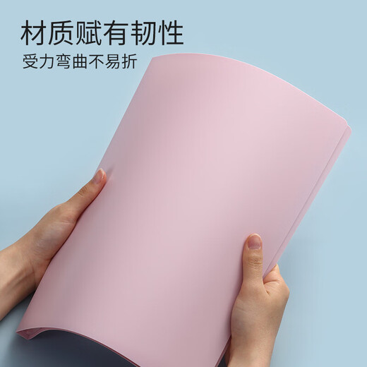 齐心（COMIX）A4莫兰迪色资料册60页 莫绿 A6636 可定制