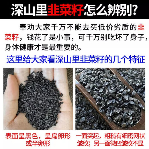 Lianghetang Materiales medicinales chinos salvajes Semillas de cebollina para té de riñón para hombres, vino genuino, tonic y frito, semillas de cebollina comestibles semillas de cebo salvaje de alta calidad 250G