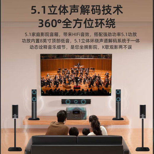 先科（SAST）家庭影院套装5.1声道音响落地组合家用功放机音箱客厅影院电视客厅影音室麦克风款