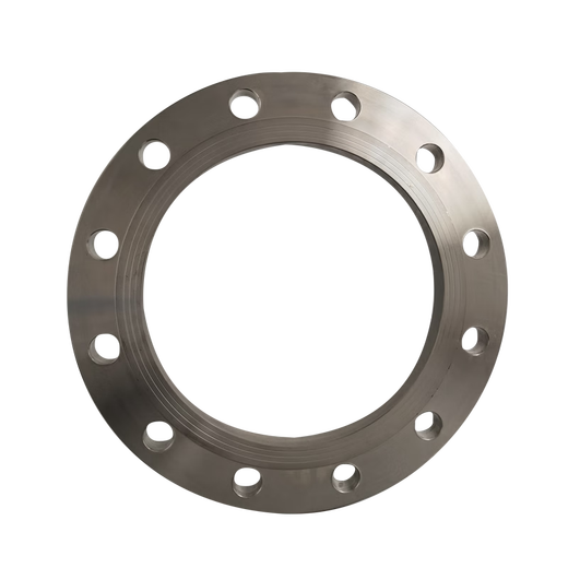 FGO stainless steel flange 316L flat welding flange forged raised panel type RF PN16 1 piece 1.6mpa DN250 BXGFL