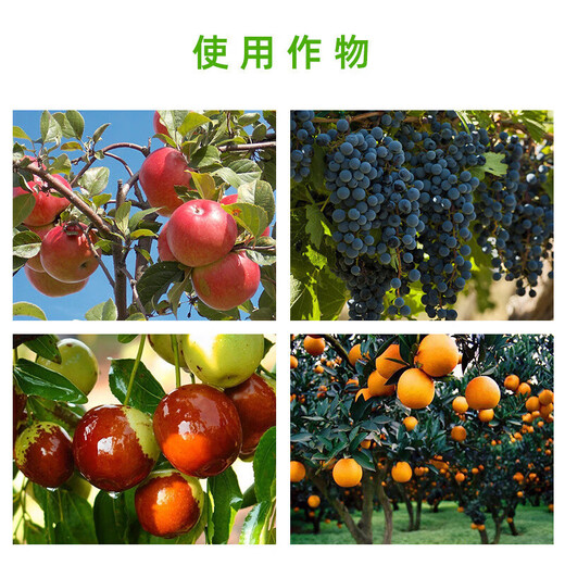 Premarin American Hualun gibberellic acid fruit tree grape strawberry expansion agent elongation agent growth agent regulator pesticide 2ml/bag
