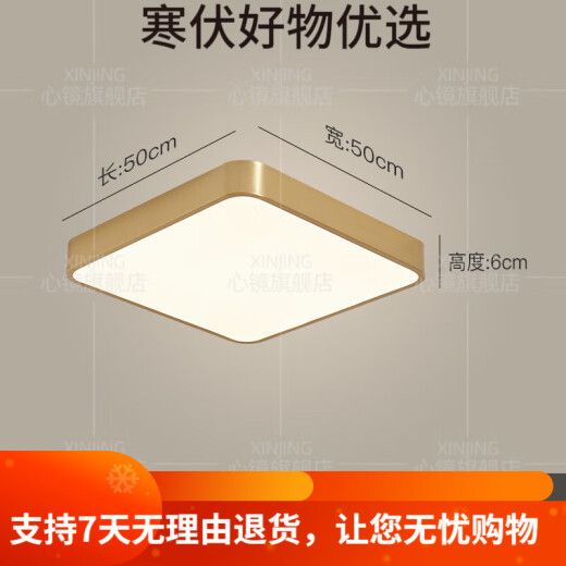 心镜全铜户外吸顶灯别墅大门口门前灯室外过道阳台灯防蚊虫庭 X3893-500/方形