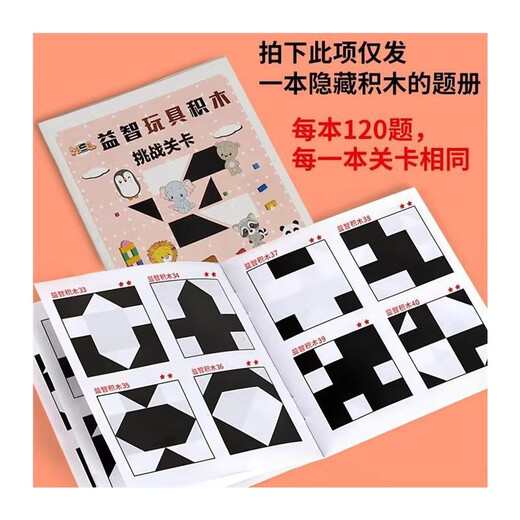 Tsinghua University Blocaux de construction Hidden Building Blocs Puzzle Toys's Logic Thinking Thinking Training Intelligence Développe