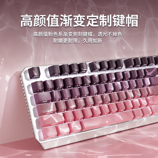 前行者TK870无线蓝牙机械键盘鼠标套装有线三模可选黑莓侧刻高颜值客制化办公游戏电脑笔记本平板iPad用 银白正刻87键白光【有线键盘】 青轴【清脆手感】