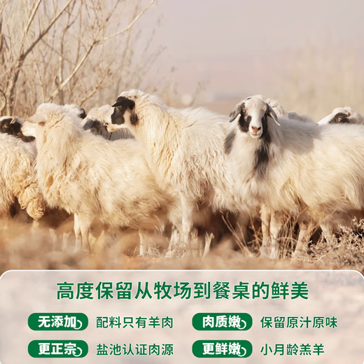 
Tianyao Port [Card Voucher] Ningxia Yanchi Beach Lamb Pickup Card Fresh Gift Card Physical Card Tianyao Port Type 698 Five Sheep Gifts