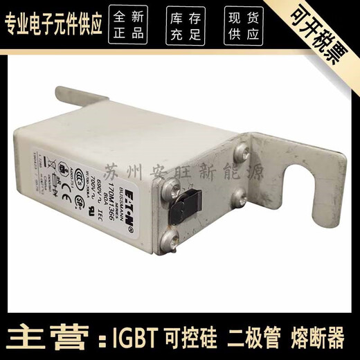 CNOBLE巴斯曼熔断器170M1366 170M1368 170M1369 170M1371 170M1372保险 更多型号请咨询客服
