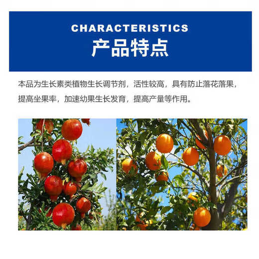 Guoguang Beineng 1% sodium p-chlorophenoxyacetate citrus fresh-keeping tomato lychee and bayberry growth regulator 200ml*5 bottles