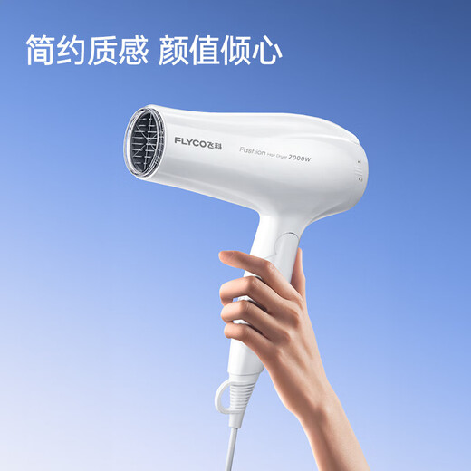Secador de cabello de Flyco 2000w para aire caliente y frío de aire caliente Alta potencia sin daños al secador de cabello Fuerte Viento puede plegar una máquina de temperatura constante de viento eléctrico para soplar yabai portátil [FH6232]
