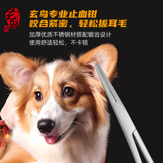 Xuanniao pet hemostatic forceps stainless steel pet ear hair plucking pliers elbow straight head pet hair plucking forceps XS size straight head hemostatic forceps