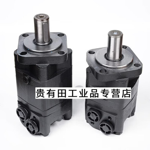 Hydraulic motor BMS/BM5 low speed and high torque BMSY 80 100 125 160 200 250 315 40 BMSY (BMS) 315