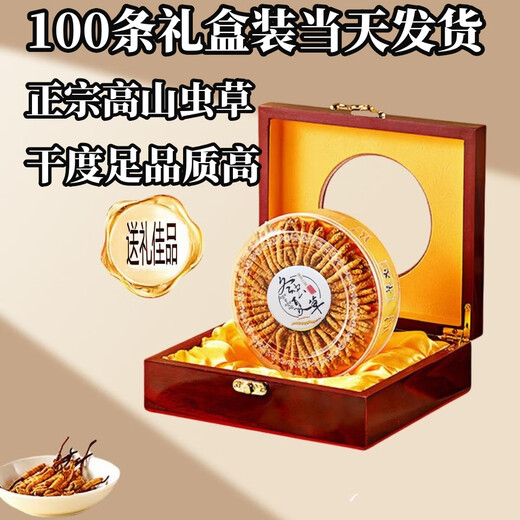 Ausgewählte Cordyceps sinensis cordyceps sinensis hoher Höhe des Kopfstadiums Cordyceps sinensis Geschenkbox verfügbar. 3 1 Gramm Cordyceps sinensis in Tibet Nago Cordyceps sinensis 10 Stück