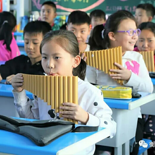 姒桀品牌排箫22管初学入门专业学生成人ABS塑料树脂排萧学校乐器 22管G调金色有底座正手右持