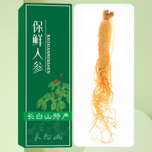 Qingqitang Changbaishan Ginseng Ganzes mit Geschenkbox in Wein und Suppe Tonic Northeast Specialty Vatertagsgeschenke für Älteste eingeweicht