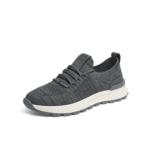 Red Dragonfly Mesh Casual Shoes 2025 Spring New Lightweight Breathable Sports Men's Shoes Outdoor Flying Wire Walking Shoes WHA15051 Gray 44