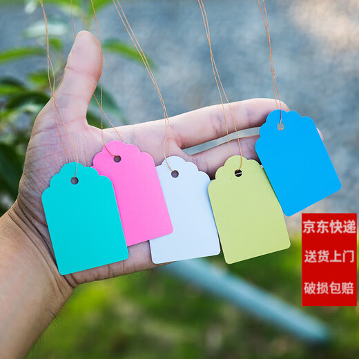 西普顿塑料标记牌书写防水记号吊牌标签牌苗木植物吊签园艺标识牌带线 5*7cm绿100片 