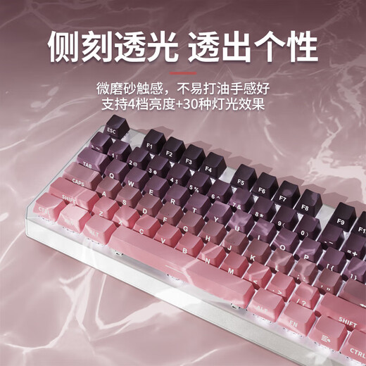 前行者TK870无线蓝牙机械键盘鼠标套装有线三模可选黑莓侧刻高颜值客制化办公游戏电脑笔记本平板iPad用 银白正刻87键白光【有线键盘】 青轴【清脆手感】
