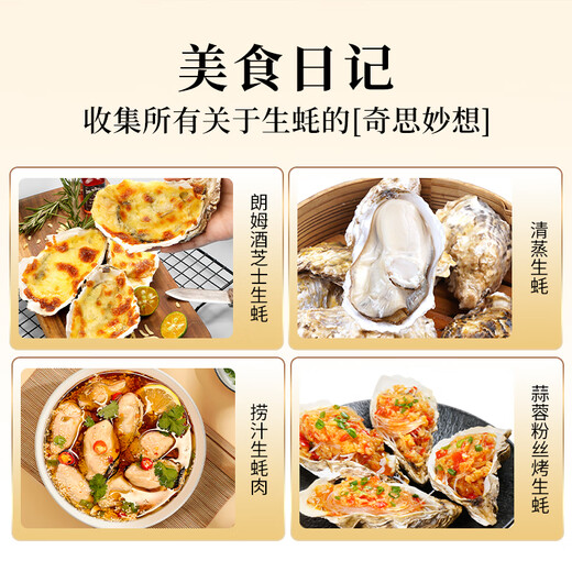 Lighthouse Jellyfish Fresh Rushan Oyster No. 2XL Net weight 5 Jin Jin equals 0.5 kg Straight from the source